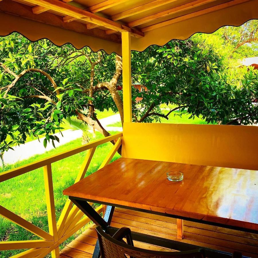 Kara Kedi Beach Bungalow Çıralı Luaran gambar
