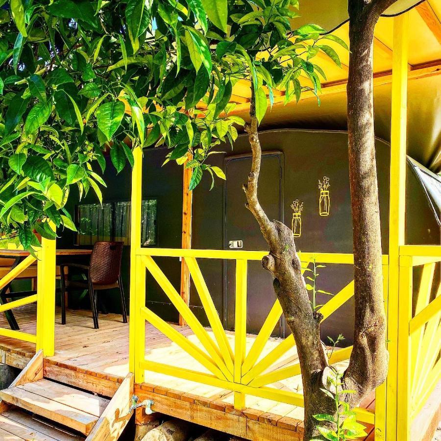 Kara Kedi Beach Bungalow Çıralı Luaran gambar