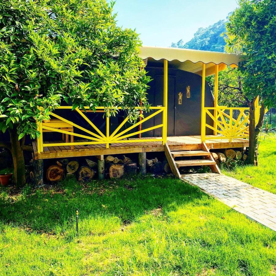 Kara Kedi Beach Bungalow Çıralı Luaran gambar
