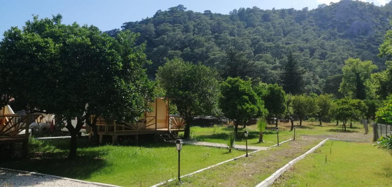 Kara Kedi Beach Bungalow Çıralı Luaran gambar