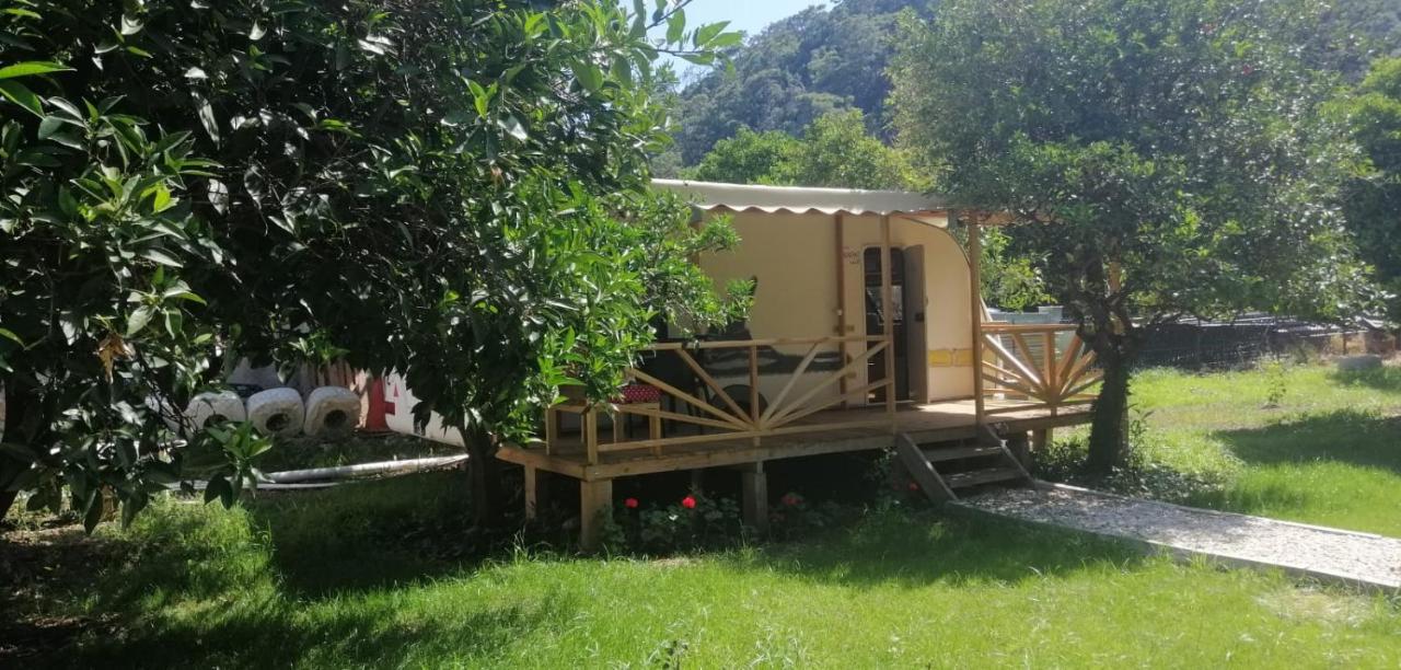 Kara Kedi Beach Bungalow Çıralı Luaran gambar