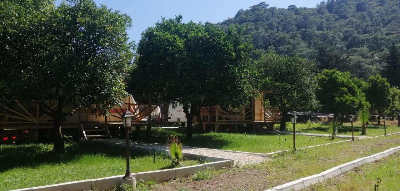 Kara Kedi Beach Bungalow Çıralı Luaran gambar